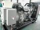 Van het diesel van de netsynchronisatie de parallelle 1250kva perkins motor generator1mw 24V gelijkstroom begin