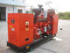 50Hz AC 300kw Aardgasgenerator, 300kw-de Reeks van de Biogasgenerator