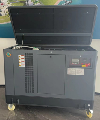 Stil huisvesting EPA-certificaat 15kw 17kw 20kw 22kw LPG-propaan-energiegenerator voor buitengebruik