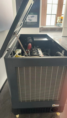 Stil huisvesting EPA-certificaat 15kw 17kw 20kw 22kw LPG-propaan-energiegenerator voor buitengebruik