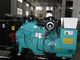 NTA855 - G2A-Motor350kva Cummins van de diesel de anticorrosieve luifel generatorkrachtcentrale