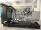 3 fase Stille Diesel Generator 230v/400v 250kva-Marathonalternator